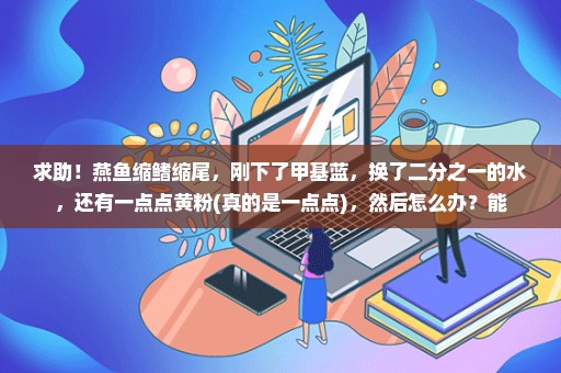 求助！燕鱼缩鳍缩尾，刚下了甲基蓝，换了二分之一的水，还有一点点黄粉(真的是一点点)，然后怎么办？能