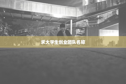 求大学生创业团队名称