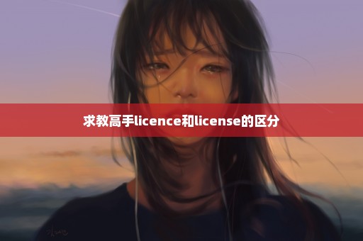 求教高手licence和license的区分