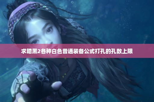 求暗黑2各种白色普通装备公式打孔的孔数上限