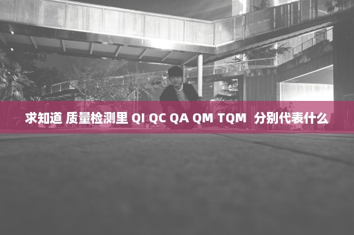 求知道 质量检测里 QI QC QA QM TQM  分别代表什么