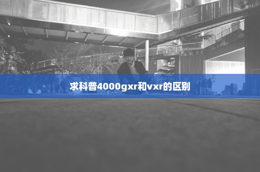 求科普4000gxr和vxr的区别