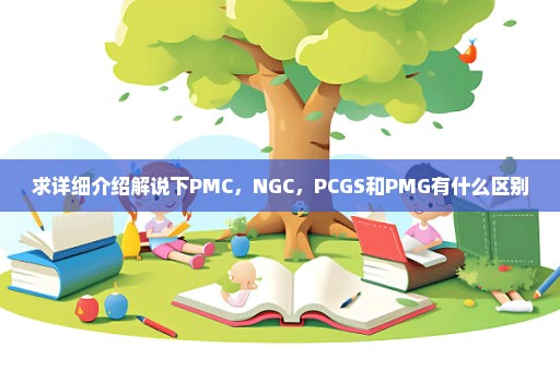 求详细介绍解说下PMC，NGC，PCGS和PMG有什么区别