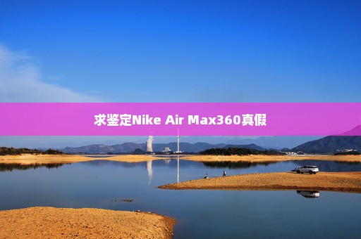 求鉴定Nike Air Max360真假