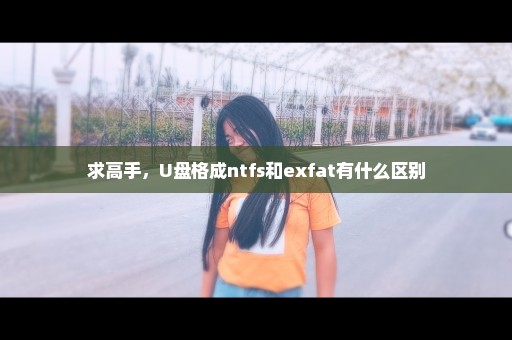 求高手，U盘格成ntfs和exfat有什么区别