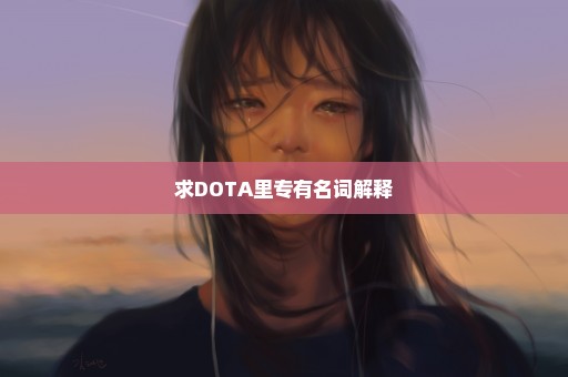 求DOTA里专有名词解释