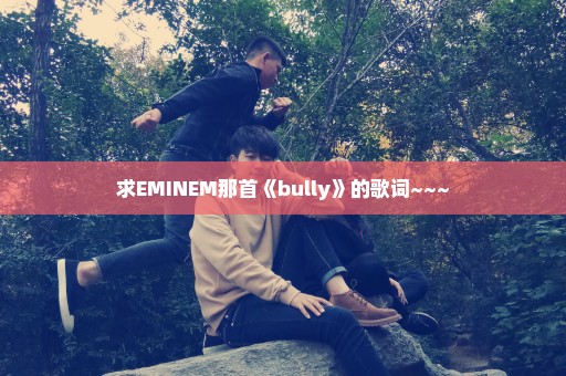 求EMINEM那首《bully》的歌词~~~