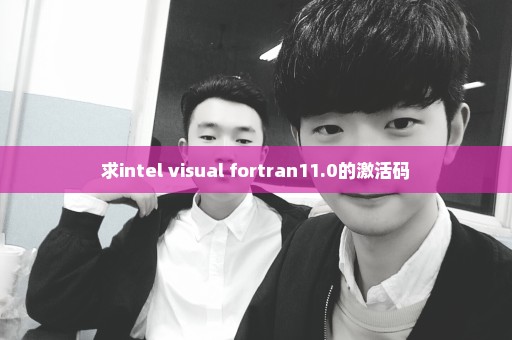 求intel visual fortran11.0的激活码