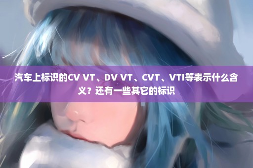 汽车上标识的CV VT、DV VT、CVT、VTI等表示什么含义？还有一些其它的标识