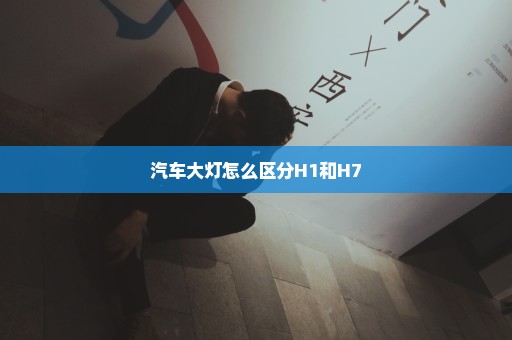 汽车大灯怎么区分H1和H7