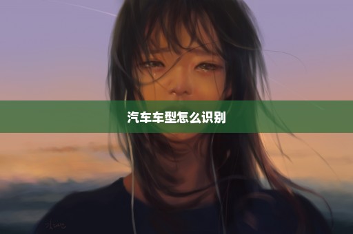 汽车车型怎么识别