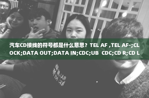 汽车CD接线的符号都是什么意思？TEL AF+,TEL AF-;CLOCK;DATA OUT;DATA IN;CDC;UB+ CDC;CD R;CD L;CD接地；