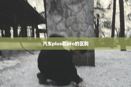 汽车plus和pro的区别