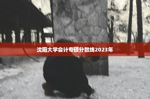 沈阳大学会计专硕分数线2023年