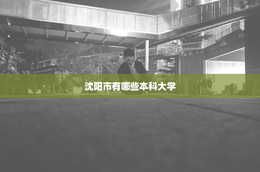 沈阳市有哪些本科大学