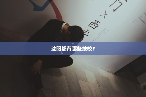 沈阳都有哪些技校？