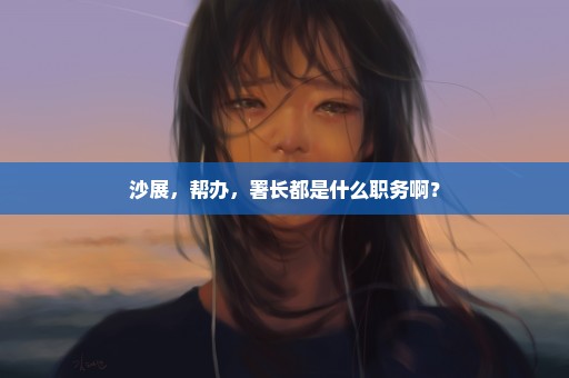 沙展，帮办，署长都是什么职务啊？