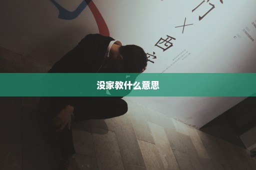 没家教什么意思