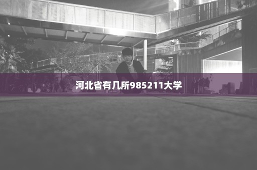 河北省有几所985211大学