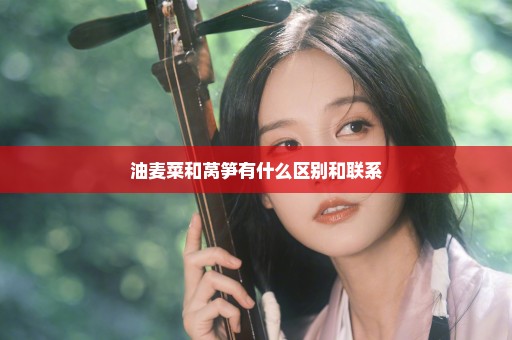 油麦菜和莴笋有什么区别和联系