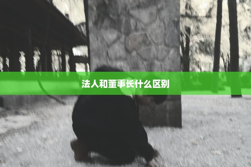 法人和董事长什么区别