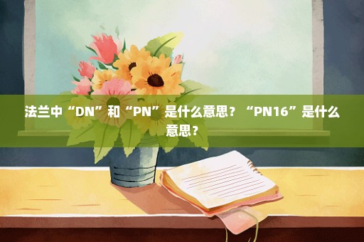 法兰中“DN”和“PN”是什么意思？“PN16”是什么意思？