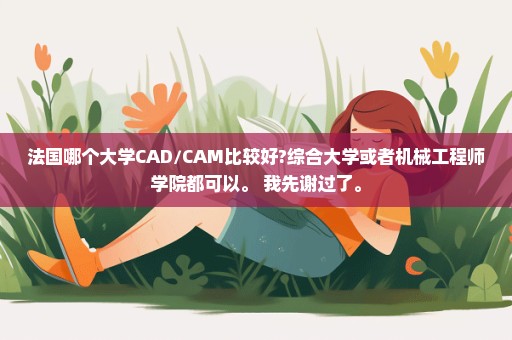 法国哪个大学CAD/CAM比较好?综合大学或者机械工程师学院都可以。 我先谢过了。