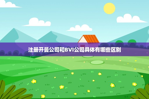 注册开曼公司和BVI公司具体有哪些区别