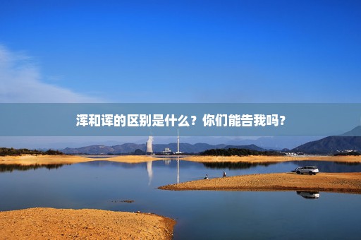 浑和诨的区别是什么？你们能告我吗？