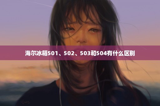 海尔冰箱501、502、503和504有什么区别