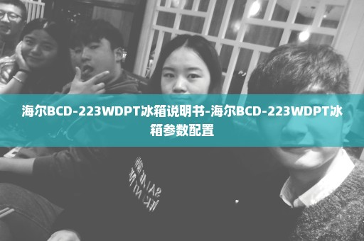 海尔BCD-223WDPT冰箱说明书-海尔BCD-223WDPT冰箱参数配置