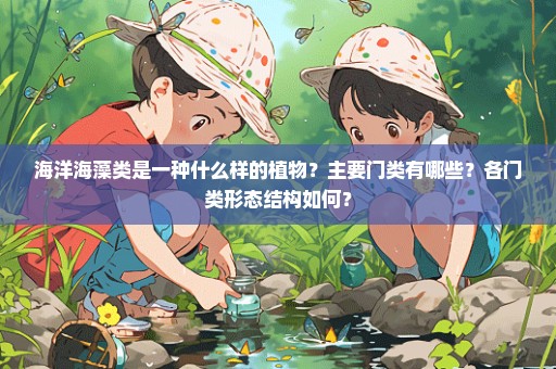 海洋海藻类是一种什么样的植物？主要门类有哪些？各门类形态结构如何？