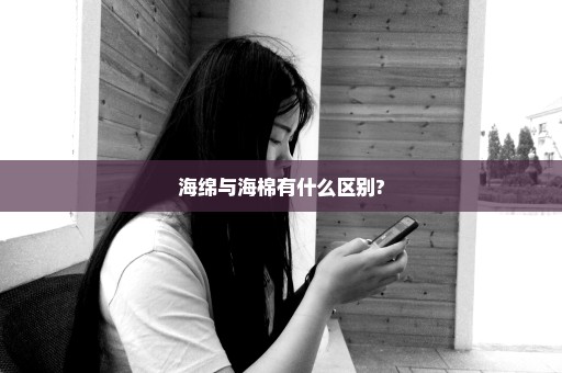 海绵与海棉有什么区别?