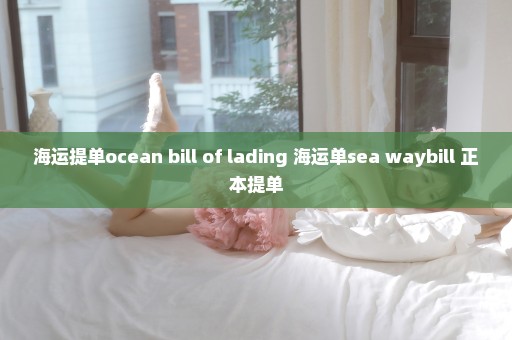 海运提单ocean bill of lading 海运单sea waybill 正本提单