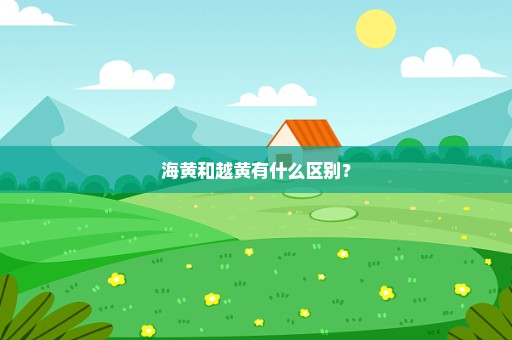 海黄和越黄有什么区别？