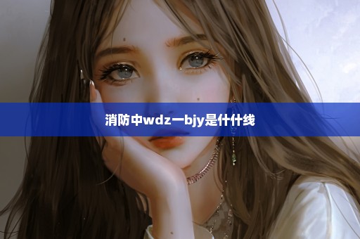 消防中wdz一bjy是什什线