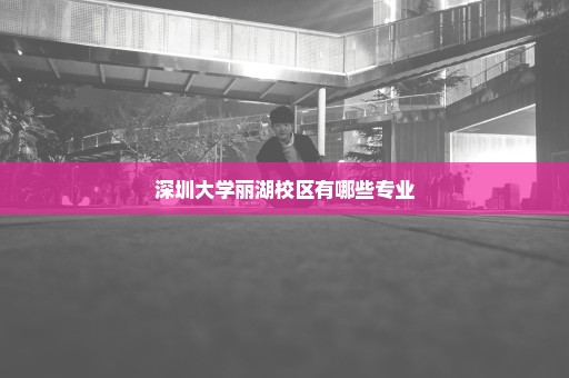 深圳大学丽湖校区有哪些专业