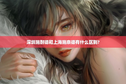 深圳施耐德和上海施奈德有什么区别?