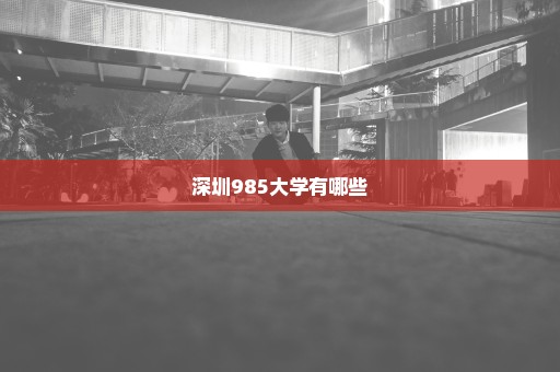 深圳985大学有哪些