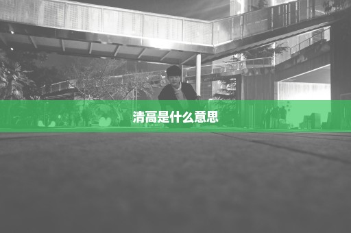 清高是什么意思