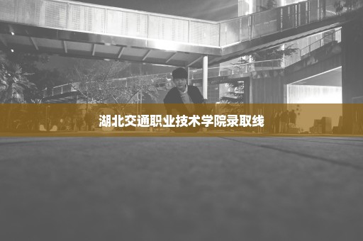 湖北交通职业技术学院录取线