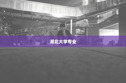 湖北大学专业