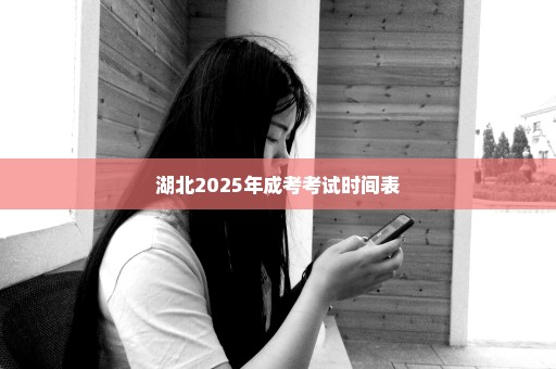 湖北2025年成考考试时间表