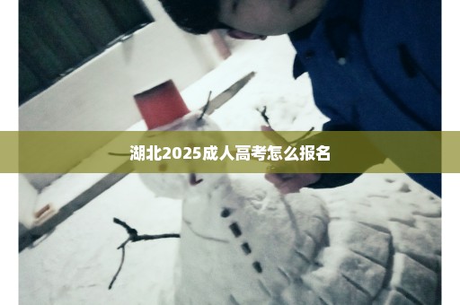 湖北2025成人高考怎么报名