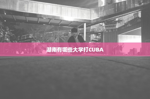 湖南有哪些大学打CUBA