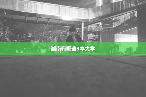 湖南有哪些3本大学