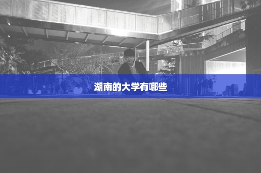 湖南的大学有哪些