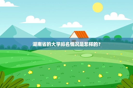 湖南省的大学排名情况是怎样的？