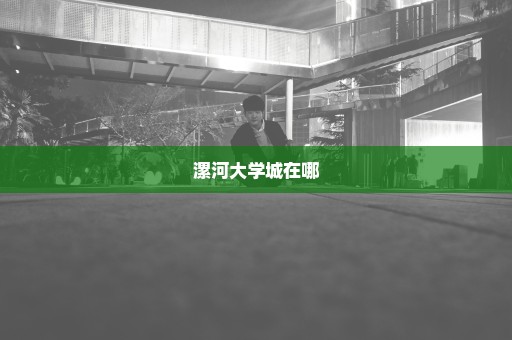 漯河大学城在哪