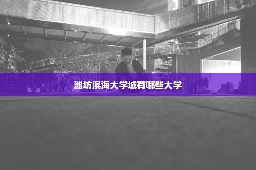 潍坊滨海大学城有哪些大学